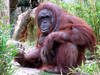 Visión general: Allwetterzoo Münster