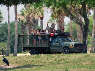 Busch Gardens in Tampa, Florida