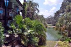 Busch Gardens Tampa Bay
